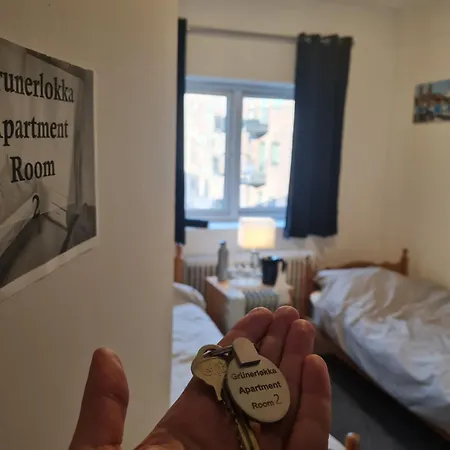 Private In To Roomsapartment * Oslo