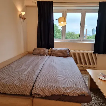 Private In To Roomsapartment Homestay